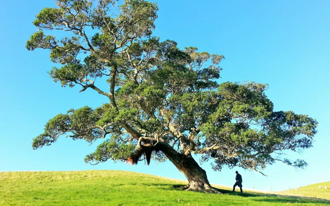 Credits to Gilly Stewart Download free, beautiful high-quality photos curated by Gilly.